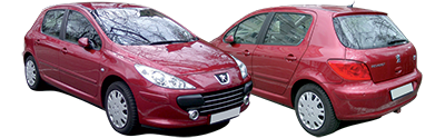 PEUGEOT - 307 - Mod. 09/05 - 01/09