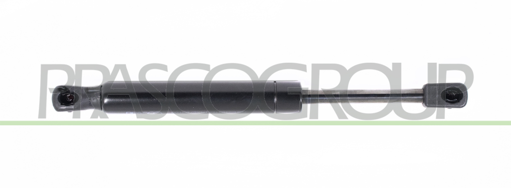 AMORTIGUADOR DE MALETERO DERECHO/IZQUIERDO PORTON TRASERO - 1180 N - L 252 mm - C 80 mm - Ø 22 mm - Ø 10 mm MOD. FAMILIAR