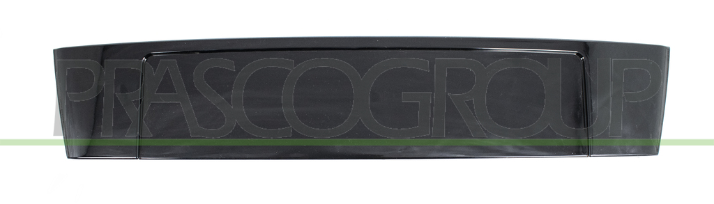 FRONT BUMPER PLATE HOLDER-BLACK-GLOSSY