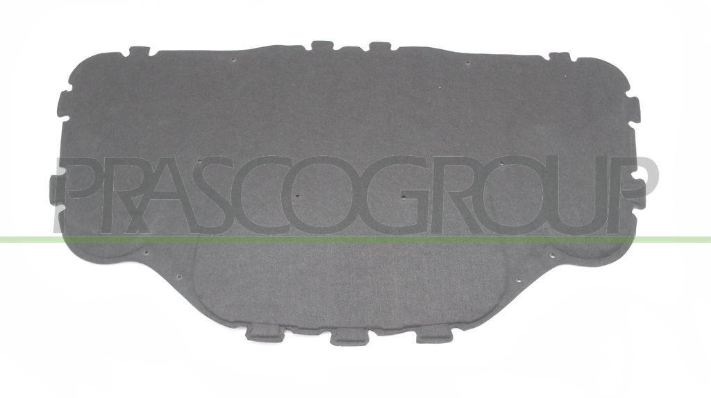PANEL INSONORIZADO CAPO