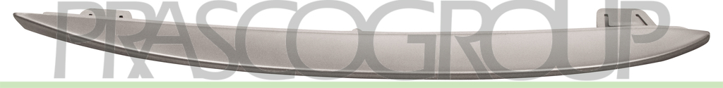 GRILLE MOLDING-RIGHT-SILVER PAINTED-WITHOUT PDC