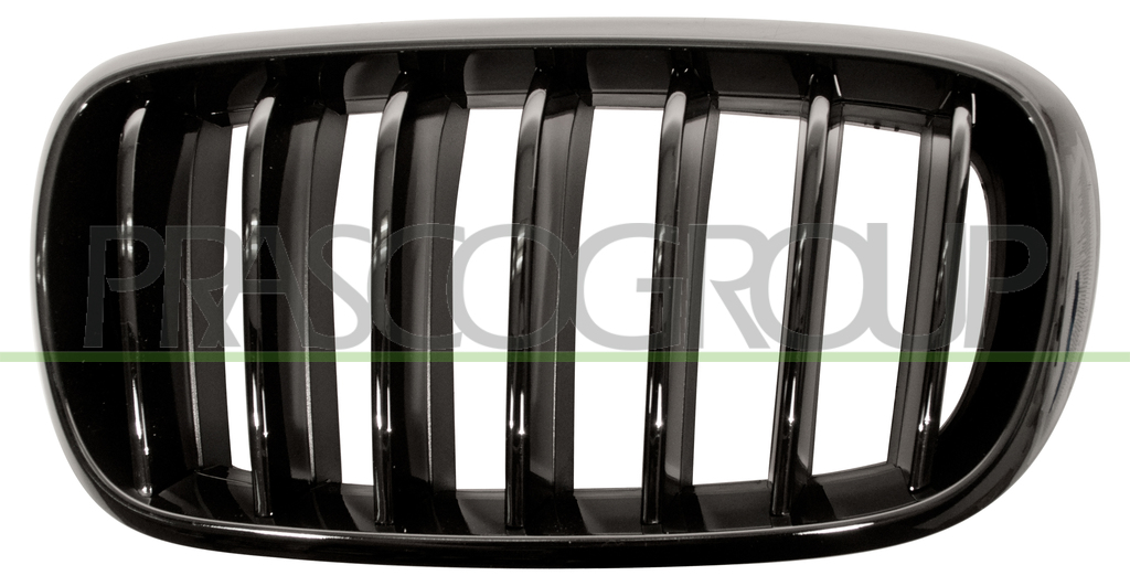 RADIATOR GRILLE LEFT-BLACK-GLOSSY