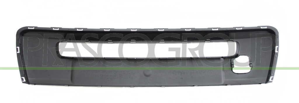 FRONT BUMPER MOLDING-CENTRE-BLACK PAINTED