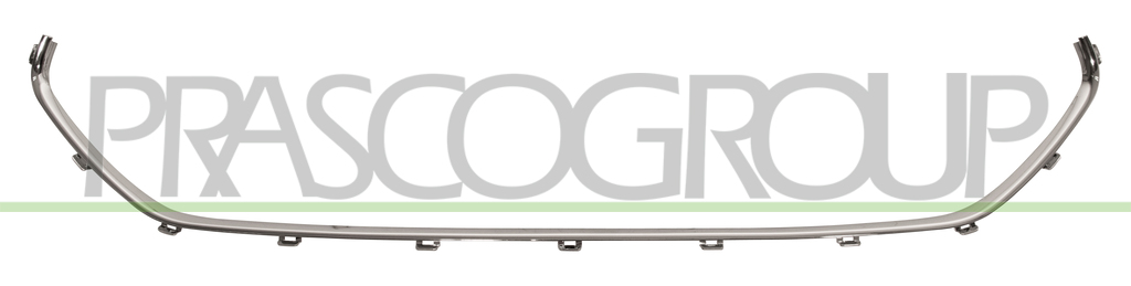 GRILLE MOLDING-CHROME