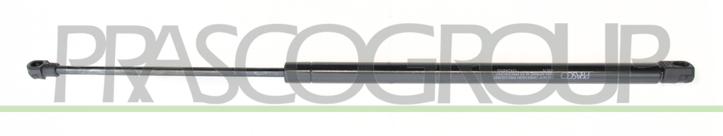 TAILGATE GAS SPRING RIGHT/LEFT - 425 N - L 545 mm - S 195 mm - Ø 18 mm - Ø 8 mm