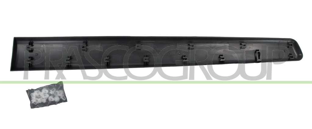 FRONT RIGHT DOOR MOLDING-BLACK
