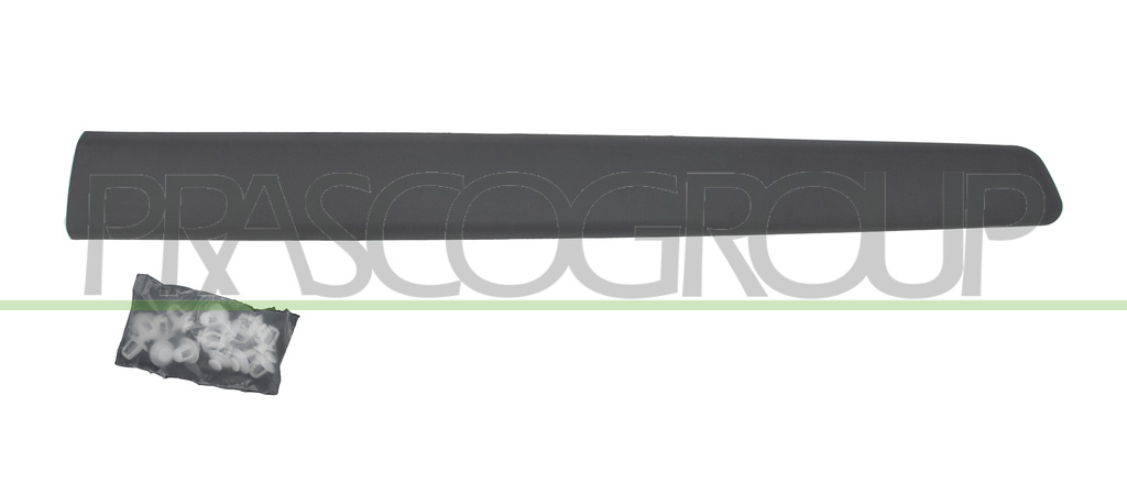 FRONT LEFT DOOR MOLDING-BLACK
