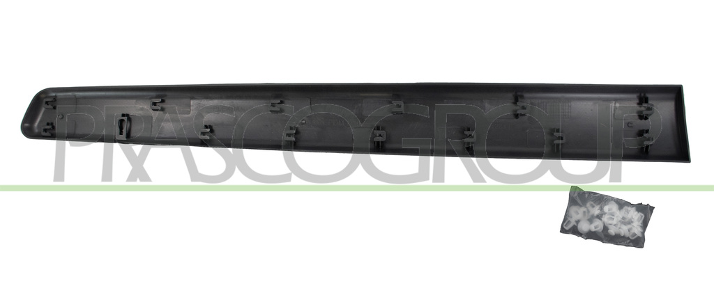FRONT LEFT DOOR MOLDING-BLACK