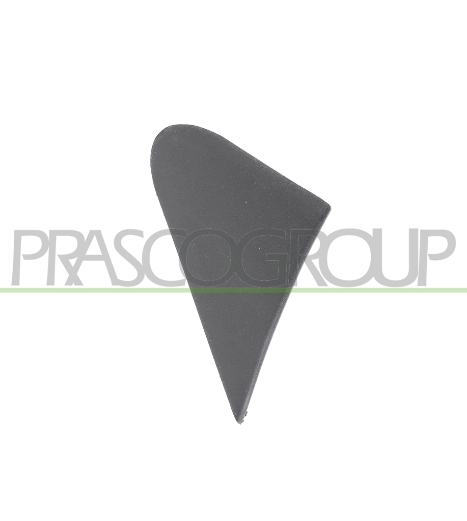 DOOR MIRROR ARM FLANGE RIGHT