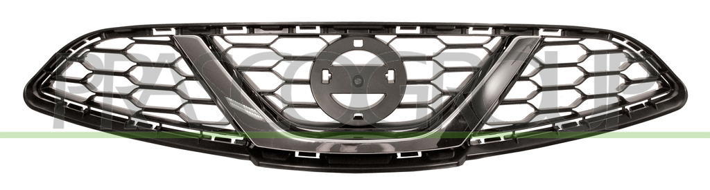 RADIATOR GRILLE-BLACK-WITH CHROME MOLDING