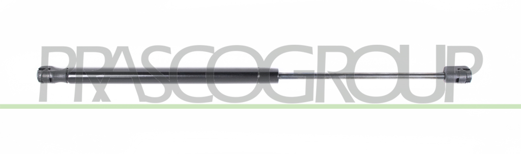 GASDRUCKFEDER HECKKLAPPE RECHTS UND LINKS-310 N-L 448 mm-H 180 mm-Ø 18 mm-Ø 8 mm