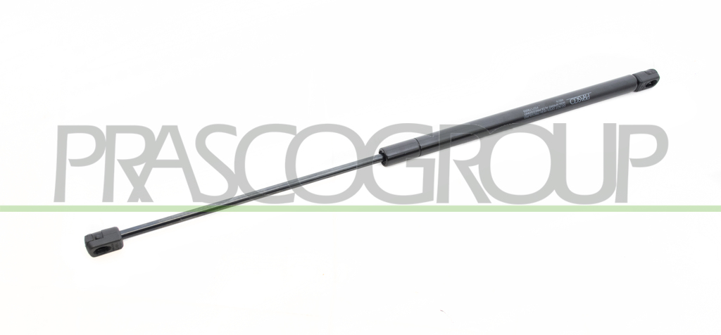 MOLLA A GAS DESTRA/SINISTRA PORTELLONE POSTERIORE - 460 N - L 570 mm - C 240 mm - Ø 18 mm - Ø 8 mm