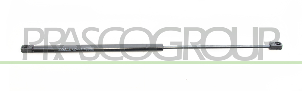 MOLLA A GAS DESTRA/SINISTRA PORTELLONE POSTERIORE - 460 N - L 570 mm - C 240 mm - Ø 18 mm - Ø 8 mm