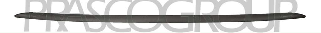 REAR BUMPER MOLDING LOWER-BLACK