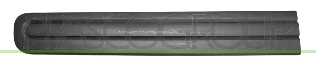 FRONT DOOR MOLDING LEFT-BLACK