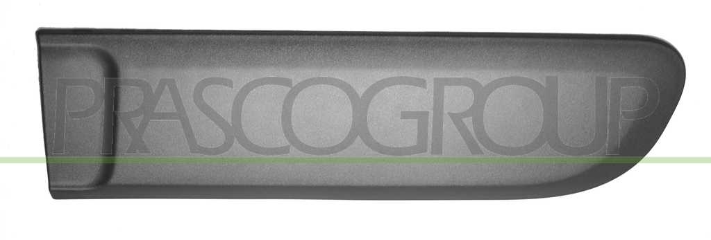 REAR DOOR MOLDING LEFT-BLACK-WITH DOUBLE-SIDED ADHESIVE AND PINS