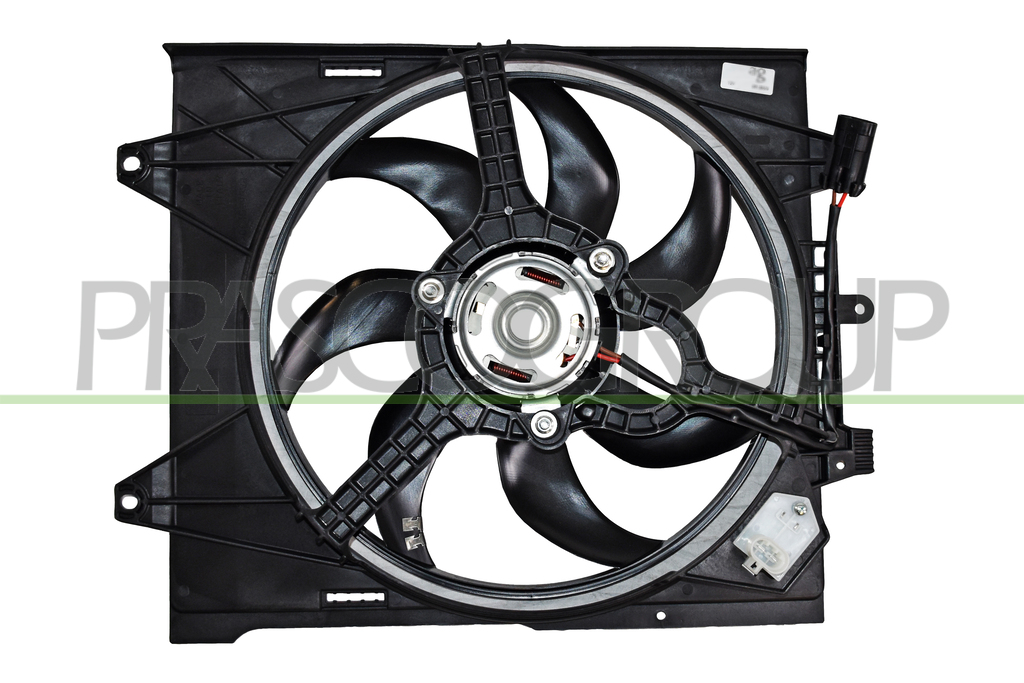 FAN