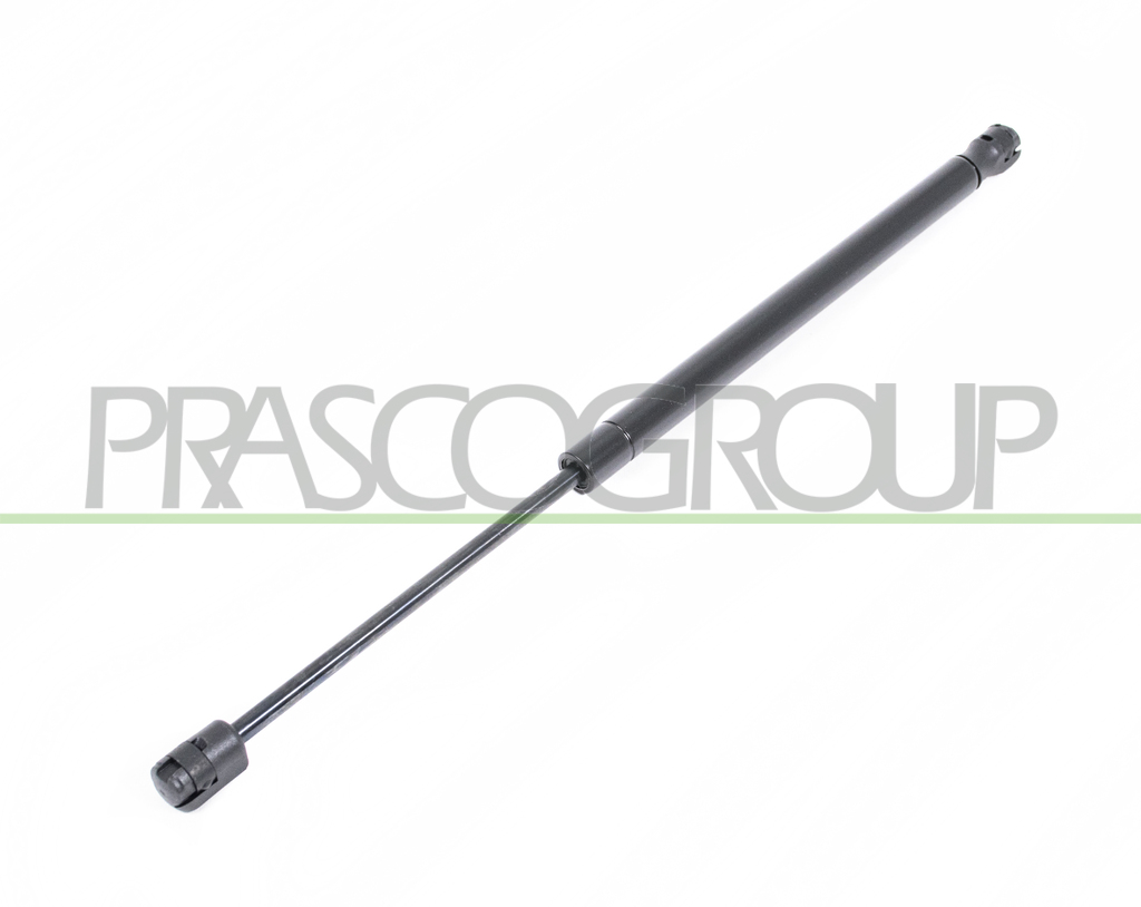 MOLLA A GAS DESTRA/SINISTRA PORTELLONE POSTERIORE - 460 N - L 440 mm - C 160 mm - Ø 18 mm - Ø 8 mm MOD. 3 PORTE