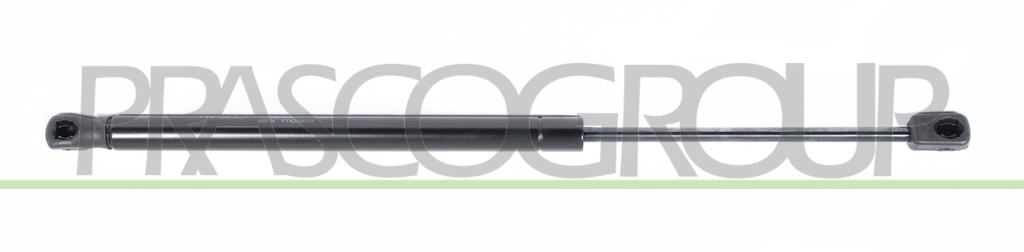 MOLLA A GAS DESTRA/SINISTRA PORTELLONE POSTERIORE - 460 N - L 440 mm - C 160 mm - Ø 18 mm - Ø 8 mm MOD. 3 PORTE