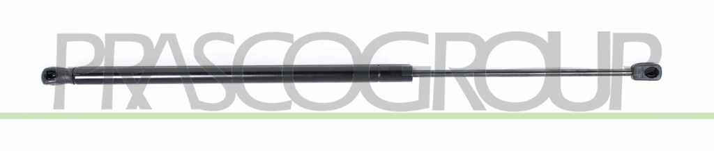TAILGATE GAS SPRING RIGHT/LEFT-740 N-L 603 mm-S 220 mm-Ø 18 mm-Ø 8 mm MOD. STATION WAGON