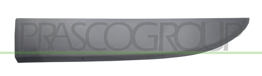 FRONT LEFT LOWER DOOR SIDE MOLDING WITH CLIPS-BLACK-TEXTURED FINISH