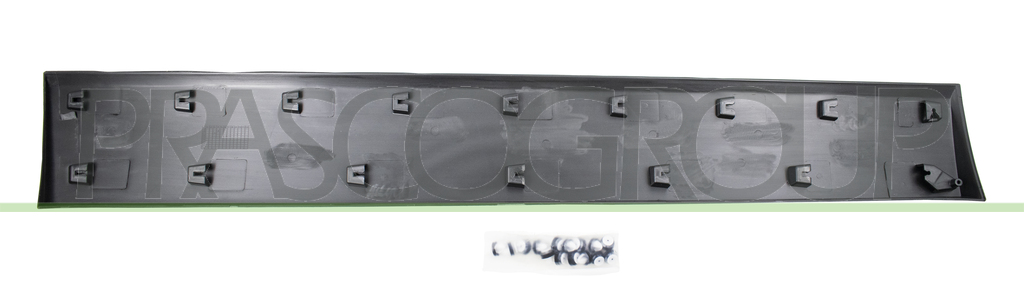 REAR LEFT DOOR MOLDING-LOWER-WITH CLIPS-BLACK