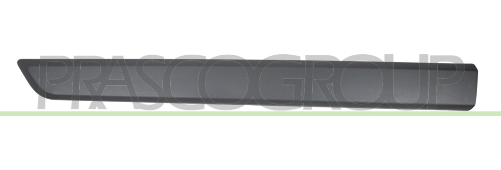 FRONT DOOR MOLDING LEFT-WITH CLIPS-BLACK-TEXTURED FINISH