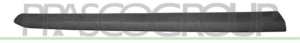 FRONT DOOR MOLDING-RIGHT-BLACK