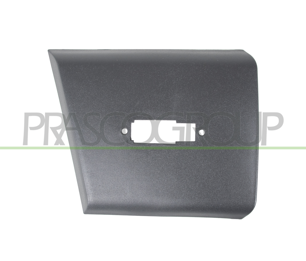 MOLDURA CON CLIPS-NEGRA GRANULADA-PUERTA DELANTERA DERECHA MOD. PASO LARGO