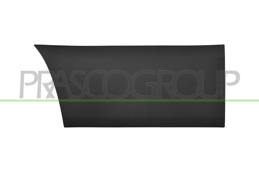 FRONT LEFT DOOR MOLDING-BLACK