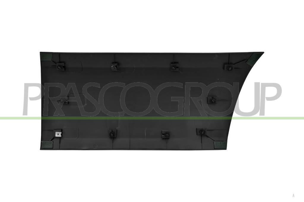FRONT LEFT DOOR MOLDING-BLACK