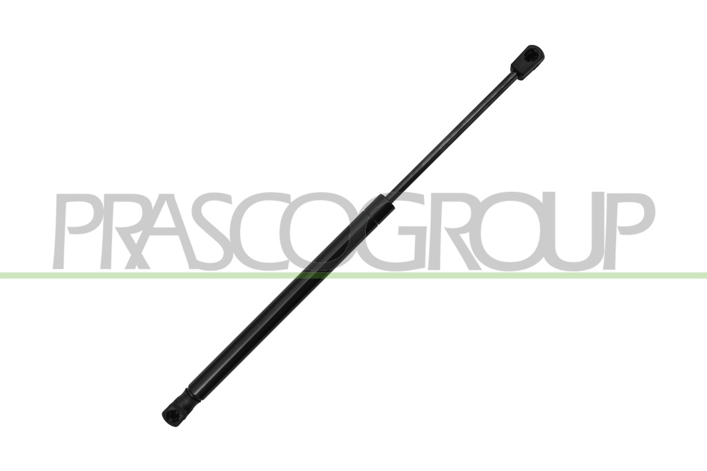 MOLLA A GAS DESTRA/SINISTRA PORTELLONE POSTERIORE - 450 N - L 420,5 mm - C 150,5 mm - Ø 18 mm - Ø 8 mm