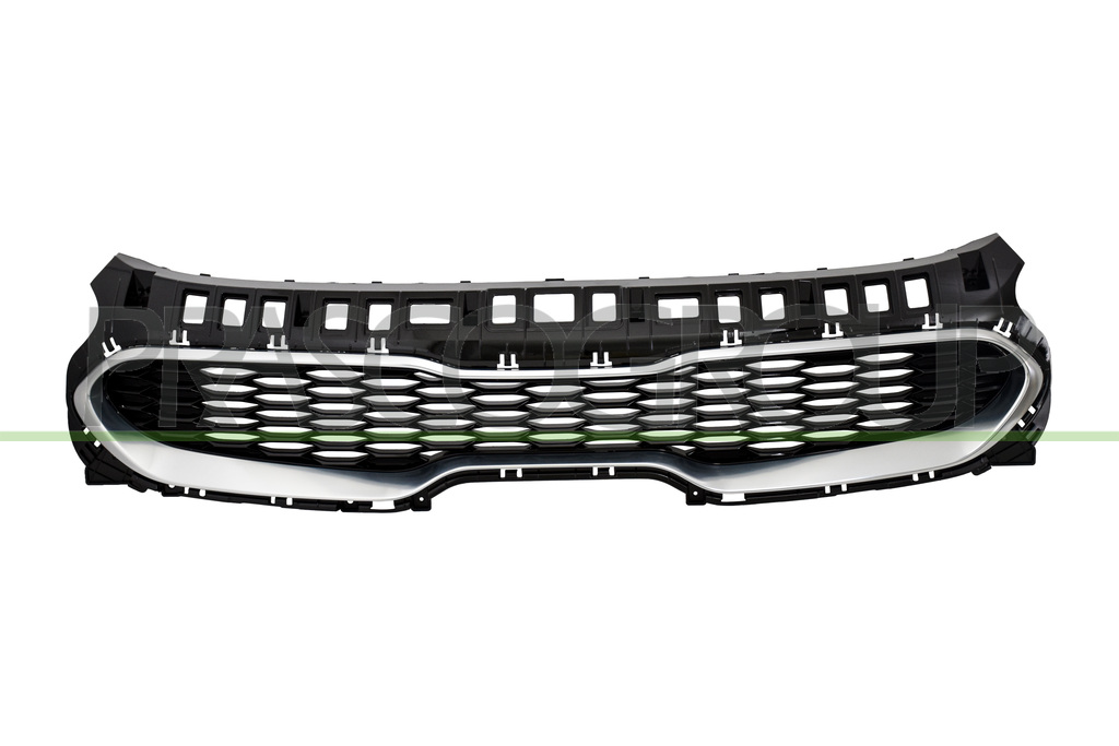 RADIATOR GRILLE-BLACK-WITH SILVER-GRAY MOLDING