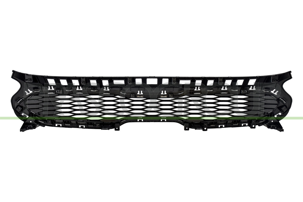 RADIATOR GRILLE-BLACK-WITH SILVER-GRAY MOLDING