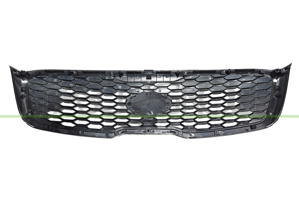 RADIATOR GRILLE-BLACK-WITH CHROME FRAME