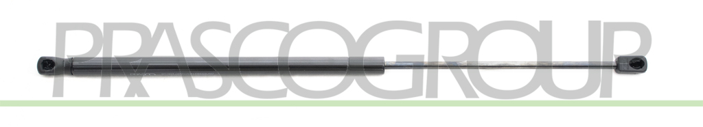MOLLA A GAS DESTRA/SINISTRA PORTELLONE POSTERIORE - 280 N - L 562 mm - C 224 mm - Ø 18 mm - Ø 8 mm