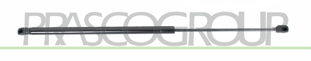 VERRIN DE HAYON A GAZ DROIT/GAUCHE - 300 N - L 645 mm - C 246 mm - Ø 18 mm - Ø 8 mm