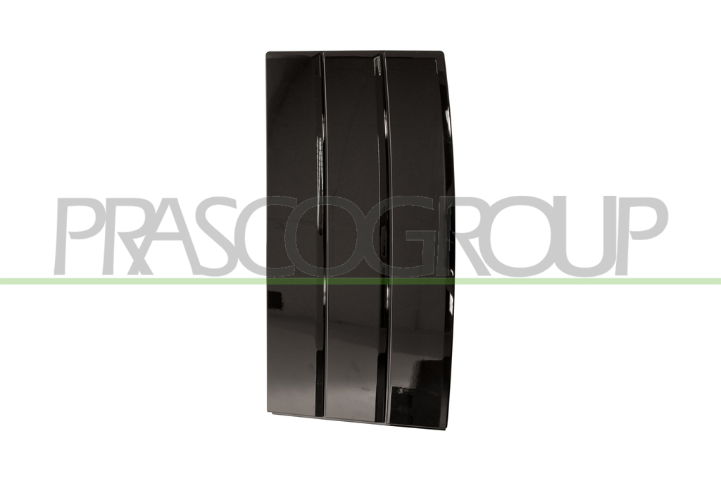 FRONT DOOR MOLDING-RIGHT-BLACK-GLOSSY