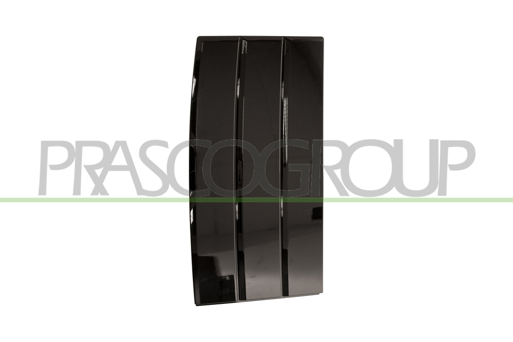 FRONT DOOR MOLDING LEFT-BLACK-GLOSSY