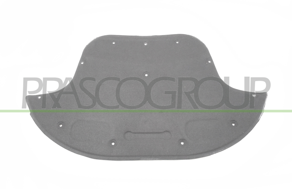 PANEL INSONORIZADO CAPO