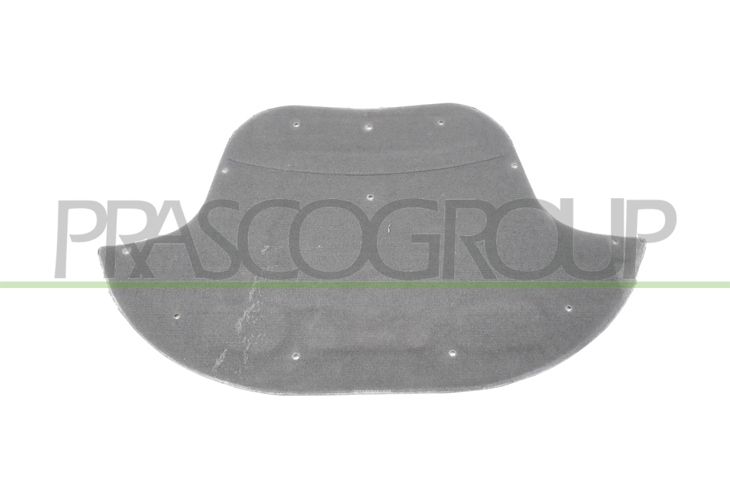 PANEL INSONORIZADO CAPO