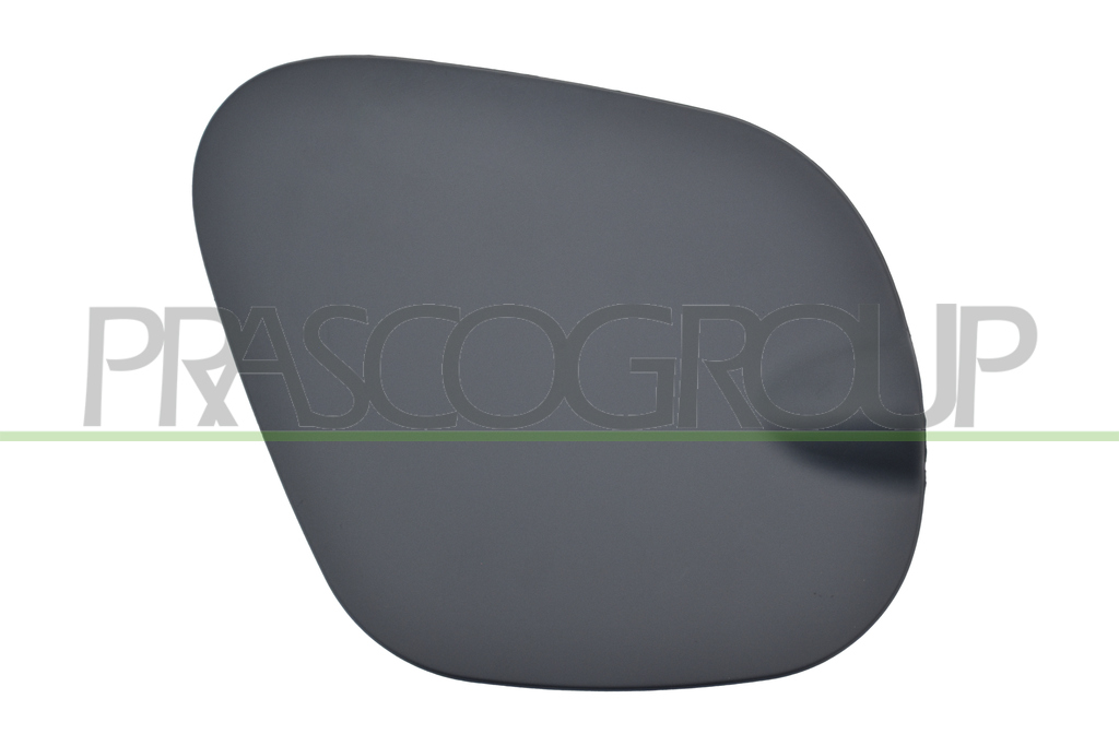 FUEL TANK FLAP-WITH PRIMER