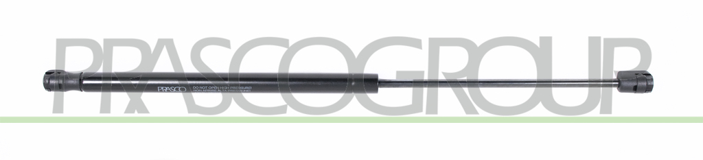 GASDRUCKFEDER HECKKLAPPE RECHTS UND LINKS-430 N-L 498 mm-H 205 mm-Ø 18 mm-Ø 8 mm