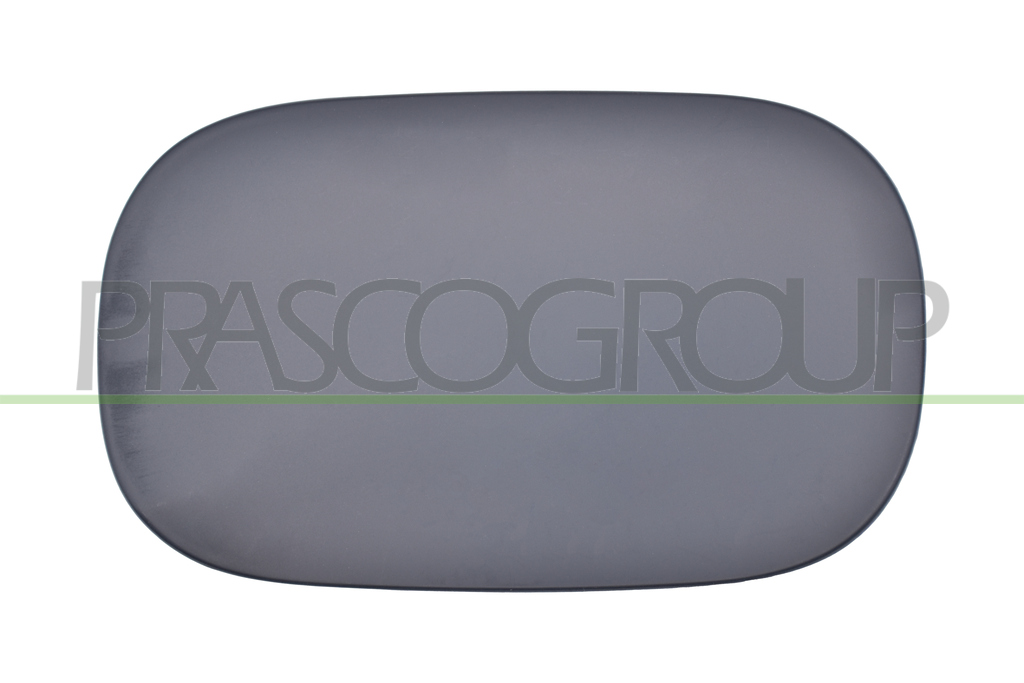 FUEL TANK FLAP-WITH PRIMER