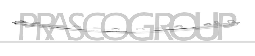 FRONT BUMPER MOLDING-CENTRE-CHROME