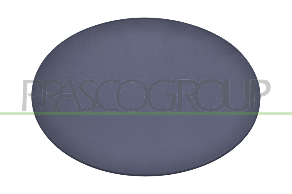 FUEL TANK FLAP-WITH PRIMER