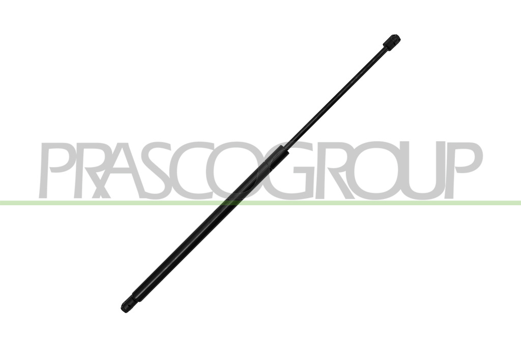 MOLLA A GAS DESTRA/SINISTRA PORTELLONE POSTERIORE - 755 N - L 665 mm - C 256 mm - Ø 22 mm - Ø 10 mm