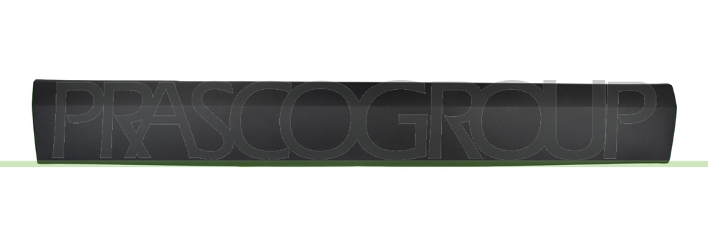 FRONT DOOR MOLDING LEFT-BLACK-TEXTURED FINISH