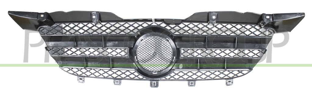 RADIATOR GRILLE
