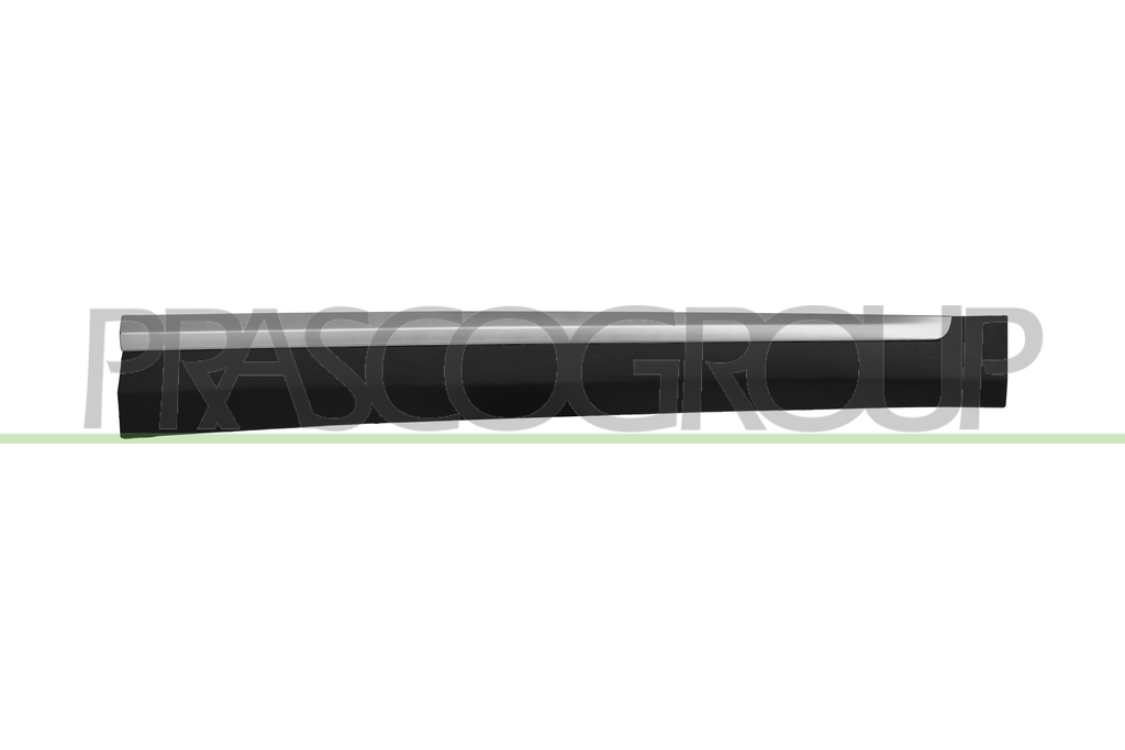 FRONT RIGHT DOOR SIDE MOLDING-LOWER-BLACK-TEXTURED FINISH